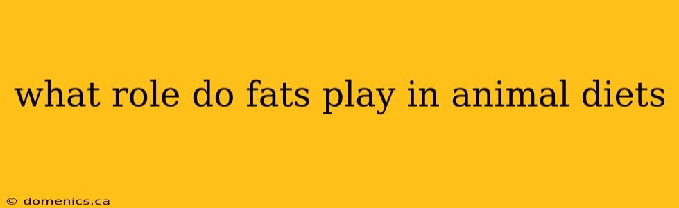 what role do fats play in animal diets