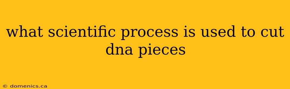 what scientific process is used to cut dna pieces