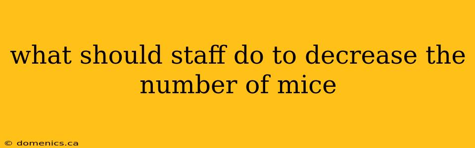 what should staff do to decrease the number of mice