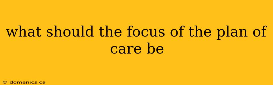 what should the focus of the plan of care be