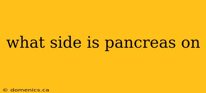 what side is pancreas on