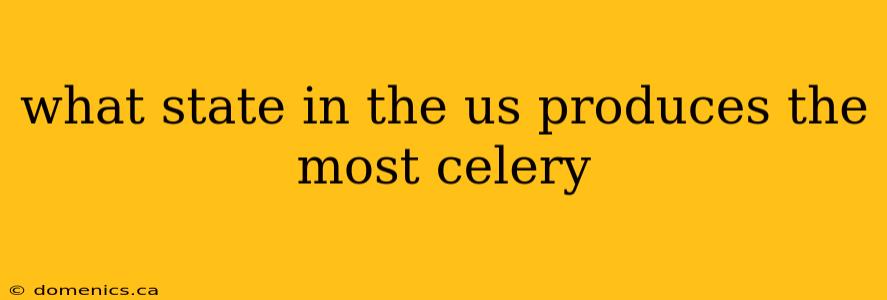 what state in the us produces the most celery