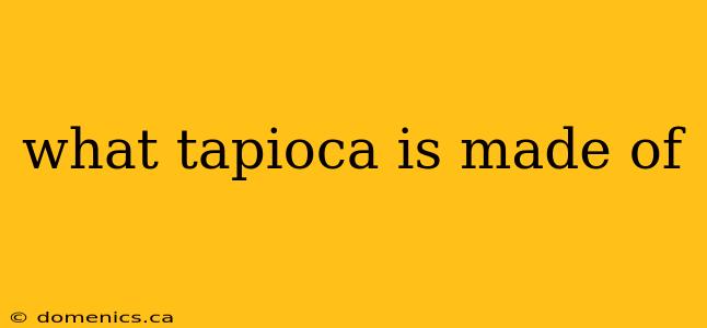 what tapioca is made of