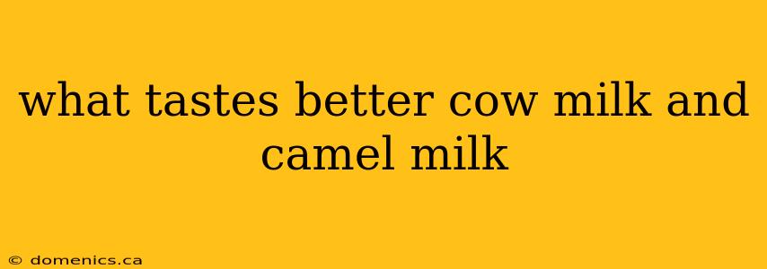 what tastes better cow milk and camel milk