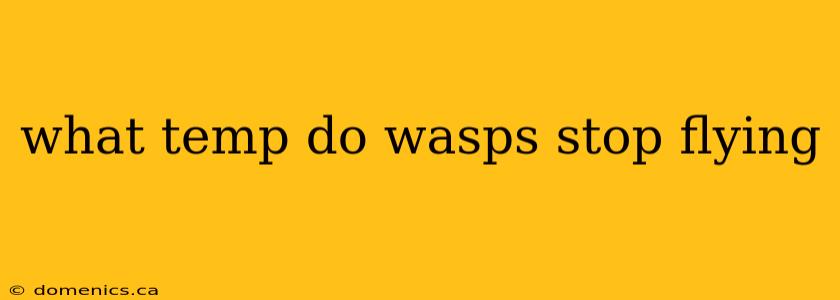 what temp do wasps stop flying