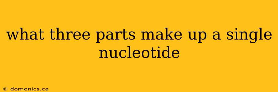 what three parts make up a single nucleotide