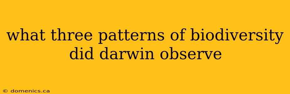 what three patterns of biodiversity did darwin observe