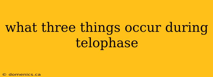 what three things occur during telophase