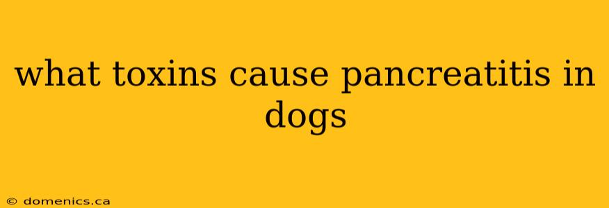 what toxins cause pancreatitis in dogs