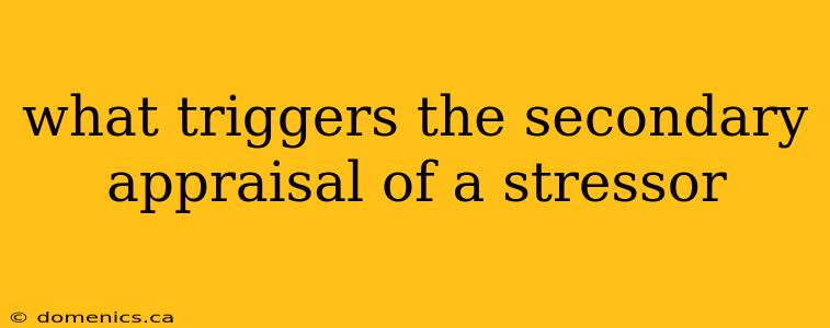 what triggers the secondary appraisal of a stressor