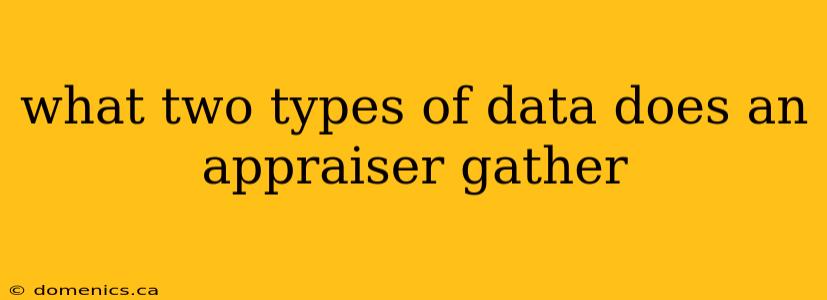 what two types of data does an appraiser gather