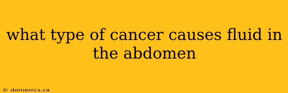 what type of cancer causes fluid in the abdomen