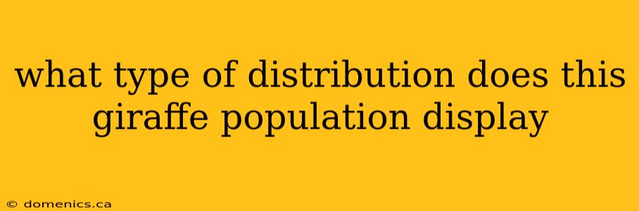 what type of distribution does this giraffe population display