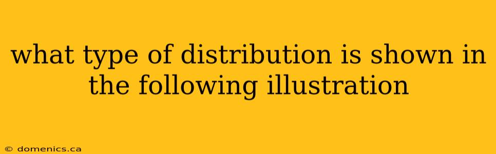 what type of distribution is shown in the following illustration