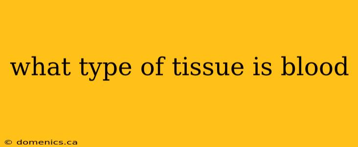 what type of tissue is blood