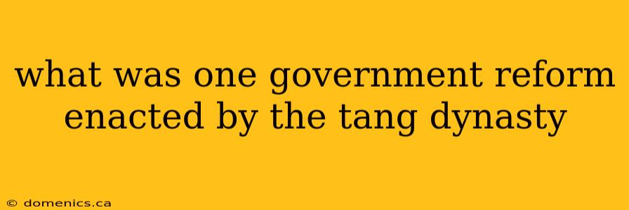 what was one government reform enacted by the tang dynasty