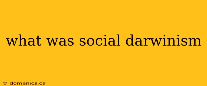 what was social darwinism