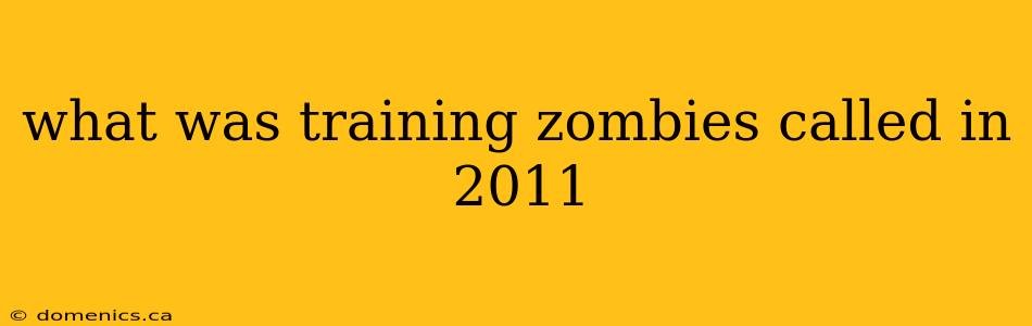 what was training zombies called in 2011