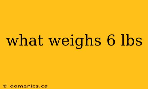 what weighs 6 lbs
