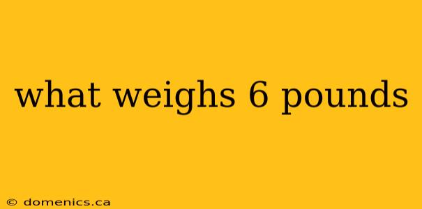 what weighs 6 pounds