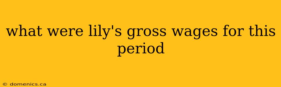 what were lily's gross wages for this period