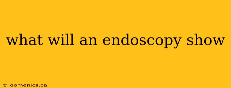 what will an endoscopy show