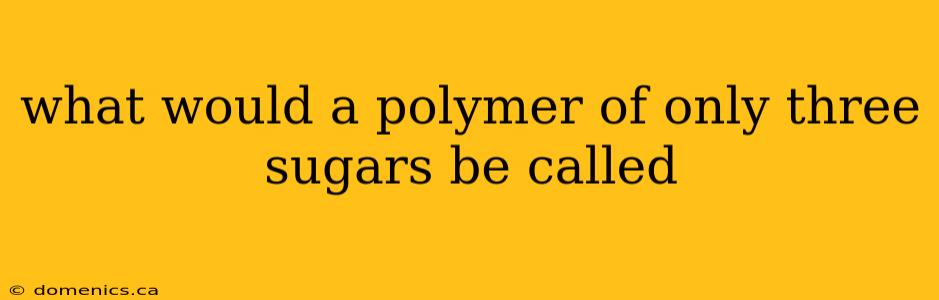 what would a polymer of only three sugars be called