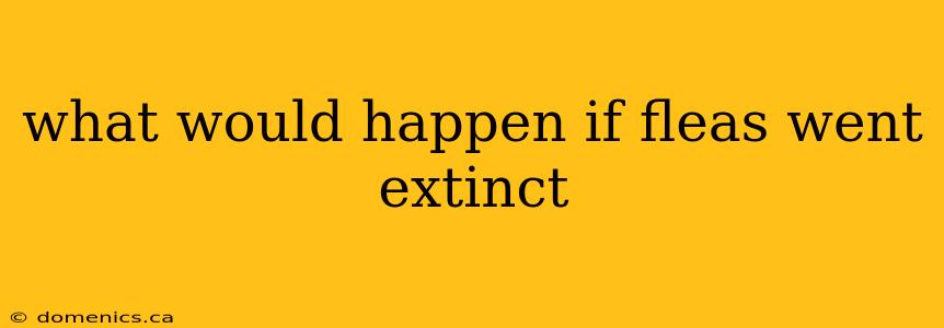 what would happen if fleas went extinct