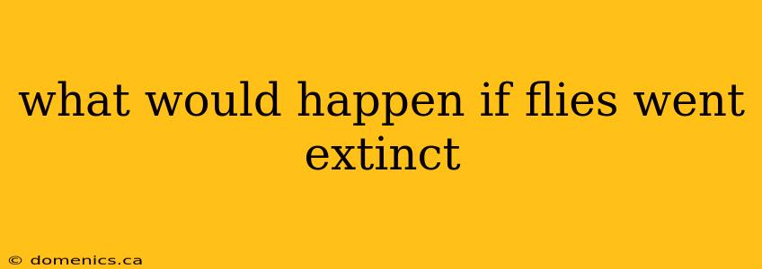 what would happen if flies went extinct