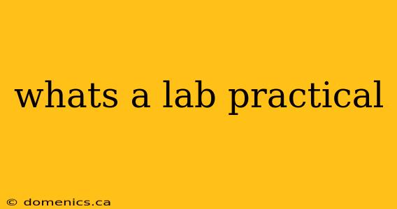 whats a lab practical