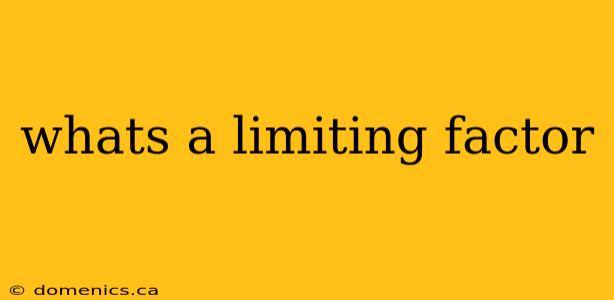 whats a limiting factor