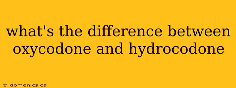 what's the difference between oxycodone and hydrocodone