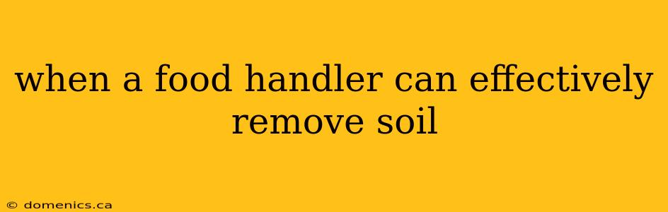 when a food handler can effectively remove soil