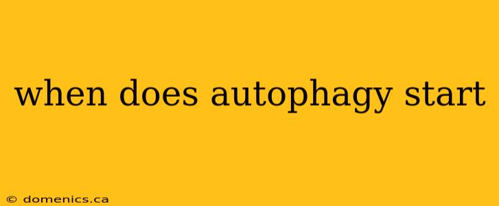 when does autophagy start