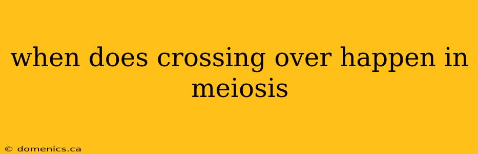 when does crossing over happen in meiosis