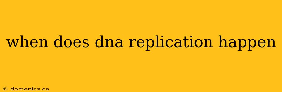 when does dna replication happen