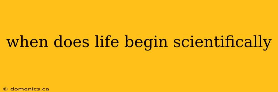 when does life begin scientifically