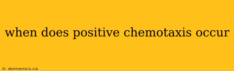 when does positive chemotaxis occur