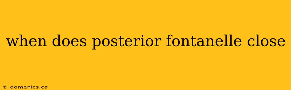 when does posterior fontanelle close