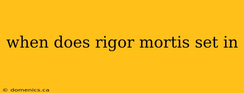 when does rigor mortis set in