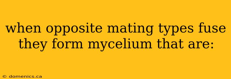 when opposite mating types fuse they form mycelium that are: