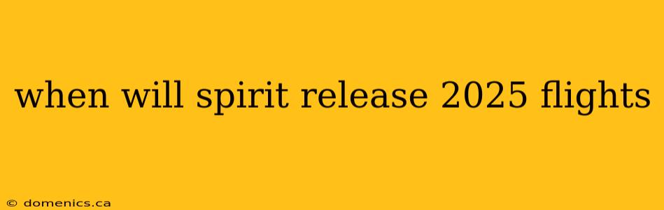 when will spirit release 2025 flights