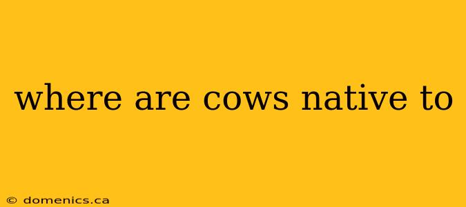 where are cows native to