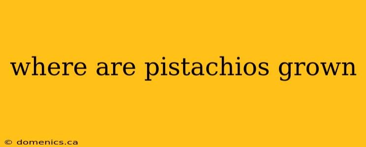 where are pistachios grown