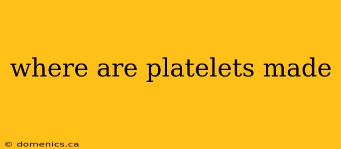 where are platelets made