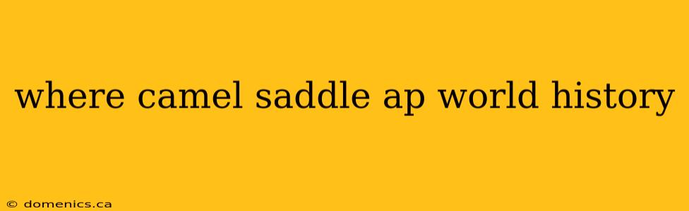 where camel saddle ap world history