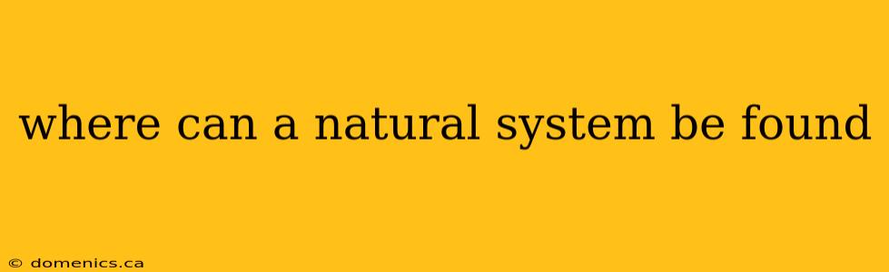 where can a natural system be found