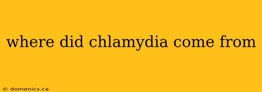 where did chlamydia come from