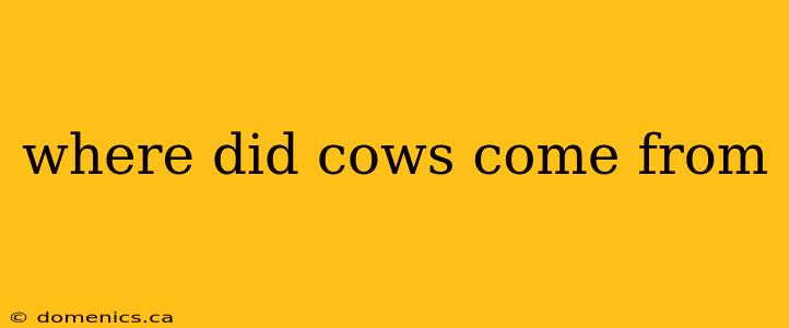 where did cows come from