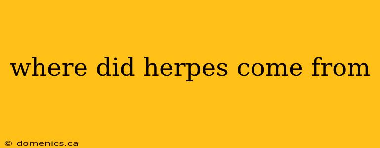 where did herpes come from